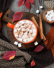 Cocoa in an orange cup with marshmallows