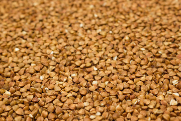 Dry buckwheat grains - brown texture