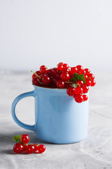 Redcurrant pile (ribes rubrum) blue cup blue napkin light background