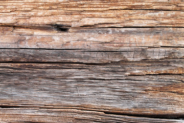 The old wood texture with natural patterns. Inside the tree background. Old grungy and weathered grey wooden wall planks texture background