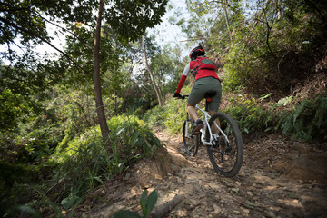 cyclist riding mountain bike on rocky trail at sunny day