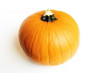 Pumpkin  on a white background