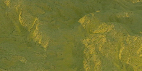 Green grass hills lit by warm sunlight with the white background aerial top view from drone or plane. 3d illustration render