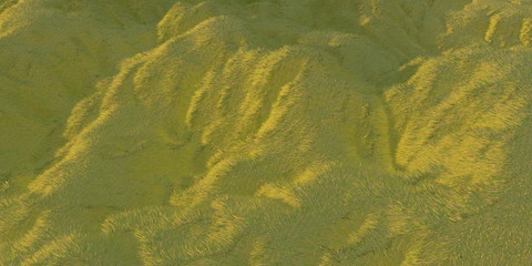 Green grass hills lit by warm sunlight with the white background aerial top view from drone or plane. 3d illustration render