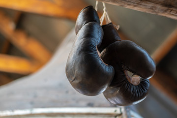 Old, Vintage boxing gloves hanging on a wooden board. old boxing gloves hang. Copy space for text. Oslo, Norway