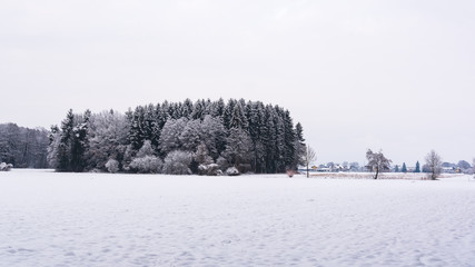 White winter landscape forest and fields countryside