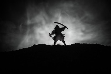 Fighter with a sword silhouette a sky ninja. Samurai on top of mountain with dark toned foggy background. © zef art