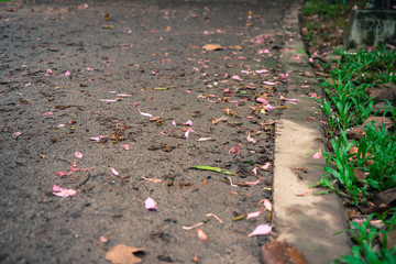 The streets are full of grass and flowers.