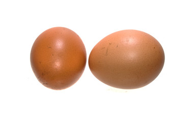 egg isolated on white background