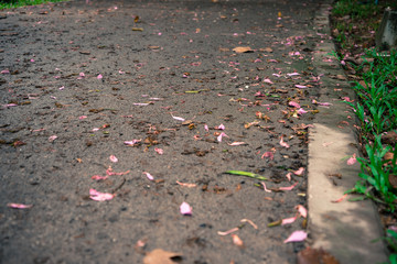 The streets are full of grass and flowers.