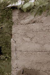 Close up of the cement wall of an old building in a forest.