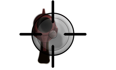 Gun shot target sight