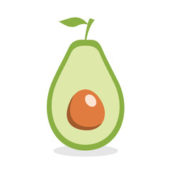 Avocado fruit on the isolated white background. Vector illustration