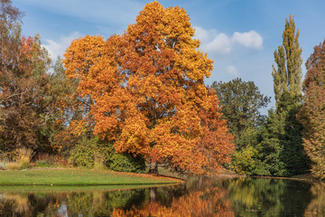 Obraz premium herbst