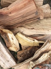 fresh cut firewood