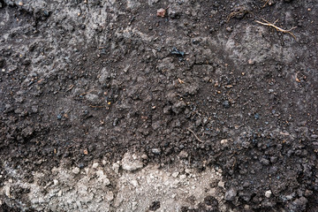 Texture of dry and wet soil on top