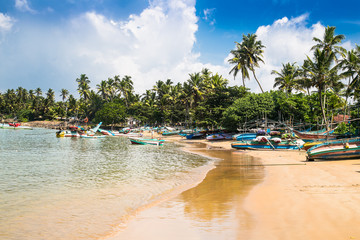 Colorful boats in fisheries harbor of Mirissa,  Sri Lanka.