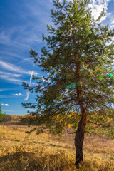 Fototapeta na wymiar Ugra national Park. Reserve. Kaluga region. Russia