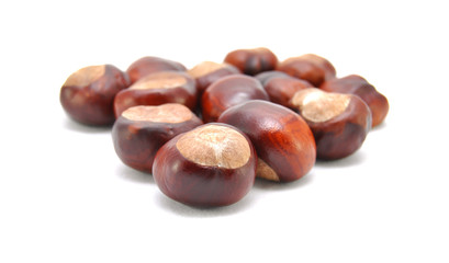 Ripe chestnuts on white background close-up 