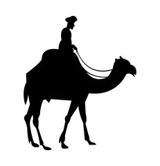 Indian rider on a camel, isolated on white