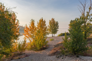 Fototapeta premium Sandy river bank with trees autumn at sunrise