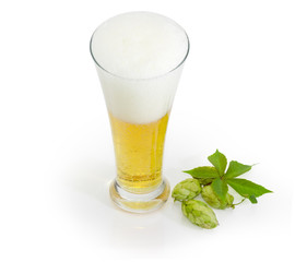 Glass of lager beer, hop cones and leaf