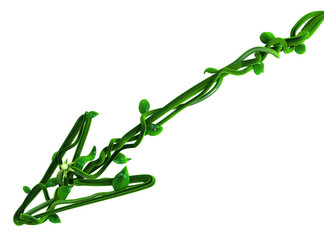 Plant Vines Green, Arrow