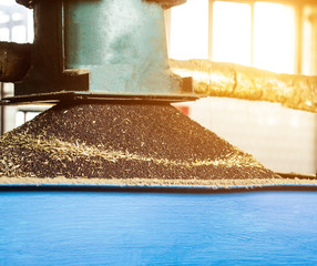 Production of rapeseed oil, processing of oilseed rapeseed, supply of rapeseed oil seeds to the cold pressing press, close-up, industry, sun - obrazy, fototapety, plakaty