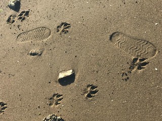 Dogprint and footprint in the sand