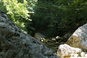 Pits Of AI-Petri