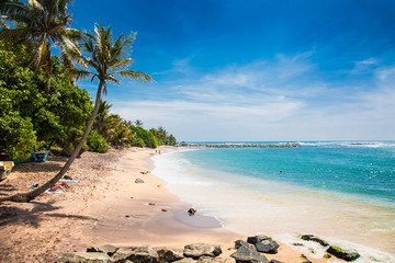 Wonderful sand beach in Mirissa . Sri Lanka.