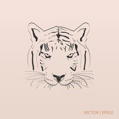 Tiger vector illustration