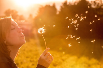 Junges Mädchen bläst Samen einer Pusteblume, Sonnenuntergang im Herbst mit Textfreiraum - obrazy, fototapety, plakaty