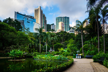 Hong Kong park surrounded by modern buildings of downtown - obrazy, fototapety, plakaty