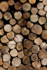 Wood logs storage in the open air, Many sections of logs Firewoods stacked in the open air.