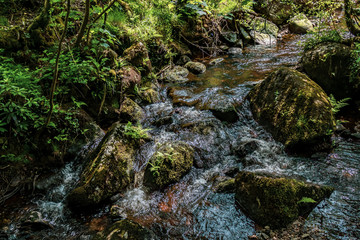 A stream flowing in Dartmoor National Park