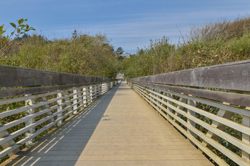 Fototapeta premium wooden bridge over Redwood Creek Muir Beach, Marin County, California
