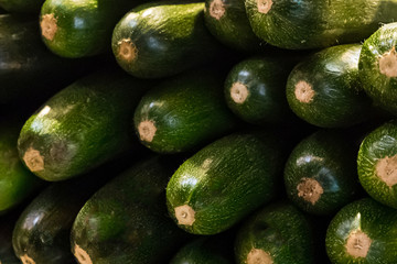 pile of green zucchini many bright vegetables end background close-up base pattern