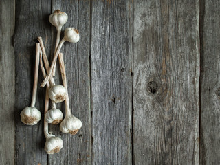 Fototapeta na wymiar Bunch of garlic heads shot from above on wooden background