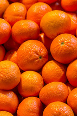 vertical pattern juicy bright tangerine one-piece fruit set orange citrus background dessert base design