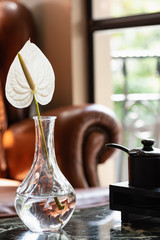 Anthurium flower in a crystal vase