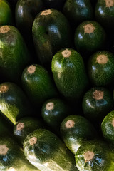 pile of green zucchini many bright vegetables end background close-up base pattern