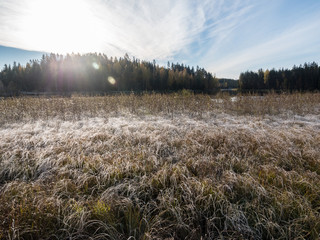 Fototapeta premium Frost at flood meadow