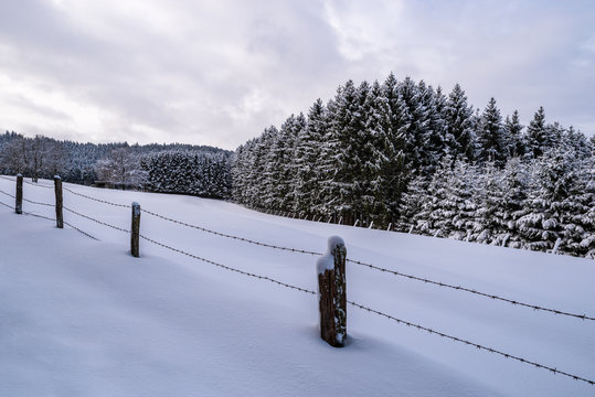 Blick &uuml;ber ein verschneites Feld zum schneebedeckten Wald, Sauerland