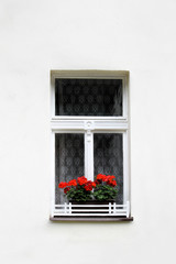 Fototapeta na wymiar Window with bright red geranium flowers
