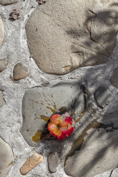 apple