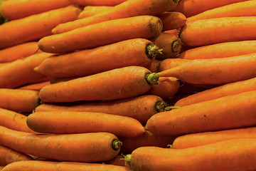 set of long fruit carrot background row of horizontal orange a lot of root vegetables base of healthy nutrition of juices and deserts