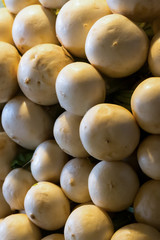 white radish round vegetable set daikon useful natural products background base design culinary...