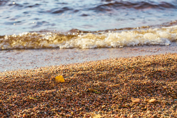                Yellow autumn leaf on a beach with blurred  waves on a background on sunny day.                