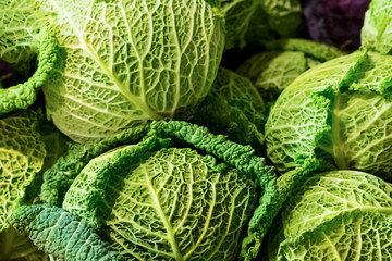 cabbage savoy kale green openwork green leaves many round fruits close-up vegetable base